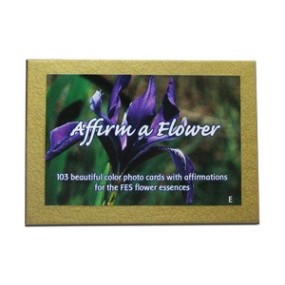 FES Californian Cards Set - Affirm a flower 103 pieces