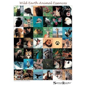 Flower Therapy Poster - Wild Earth Animal Essences