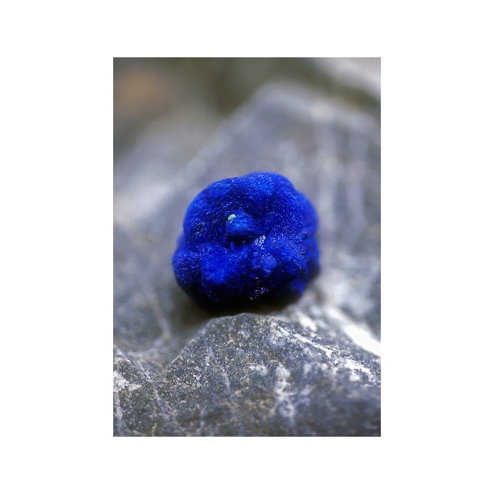 Essenza Singola dell'Alaska - Azurite (Azzurrite) 7,4 ml