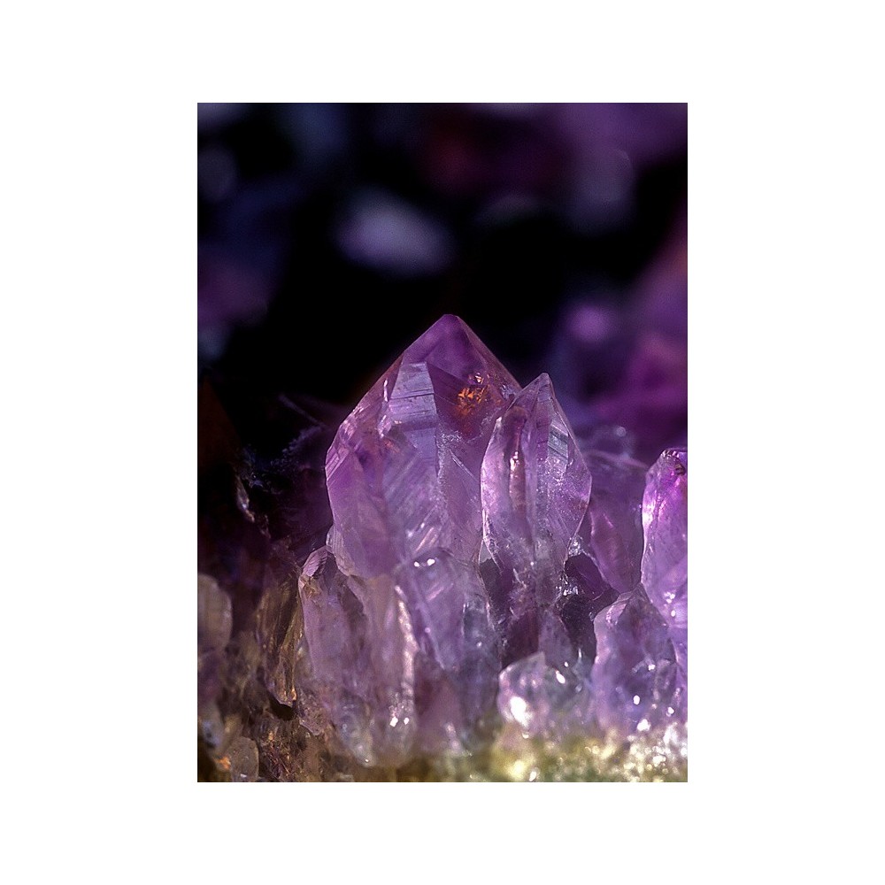 Essenza Singola dell'Alaska - Brazilian Amethyst (Ametista brasiliana) 7,4 ml