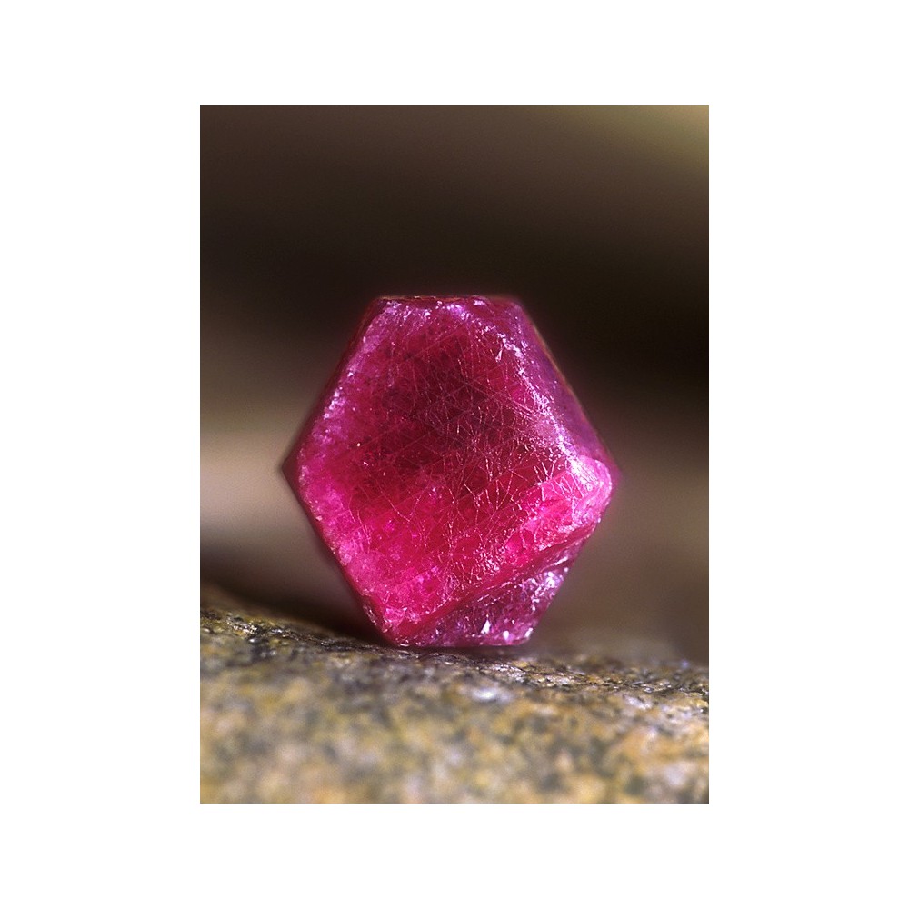 Essenza Singola dell'Alaska - Ruby (Rubino) 7,4 ml