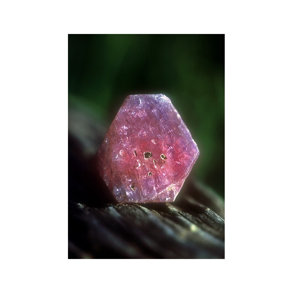 Essenza Singola dell'Alaska - Sapphire/Ruby (Zaffiro/Rubino) 7,4 ml