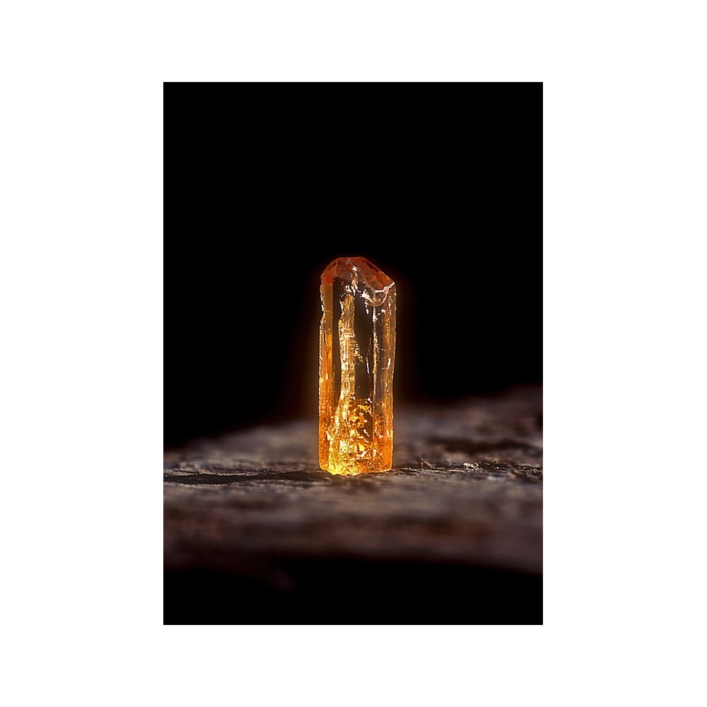 Essenza Singola dell'Alaska - Topaz (Topazio) 7,4 ml