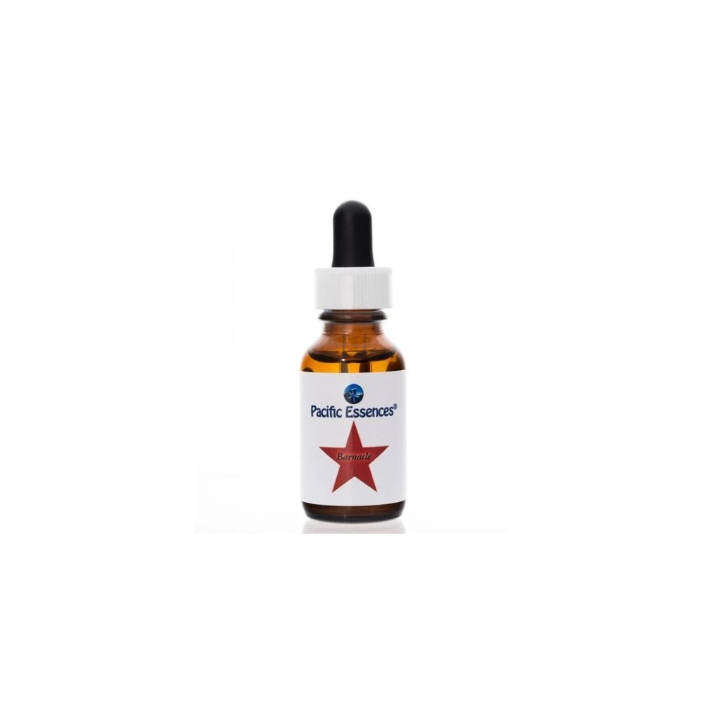 Pacific Single Essence - Barnacle 7,4 ml