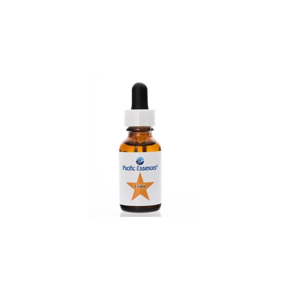 Pacific Single Essence - Urchin 7,4 ml