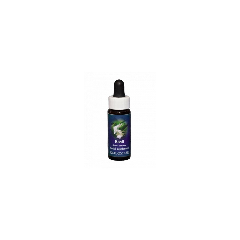 Basilikum (Ocimum basilicum) 7,4 ml