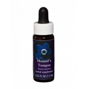 Hound's Tongue (Cynoglossum grande) 7.4 ml