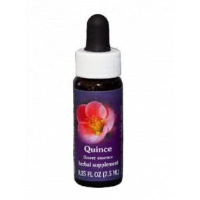 Quince (Chaenomeles speciosa) 7.4ml