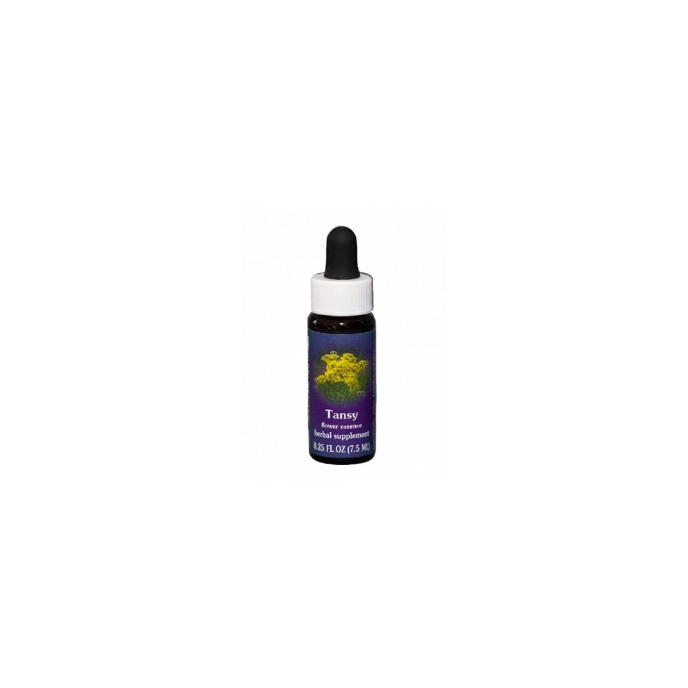 Rainfarn (Tanacetum vulgare) 7,4 ml