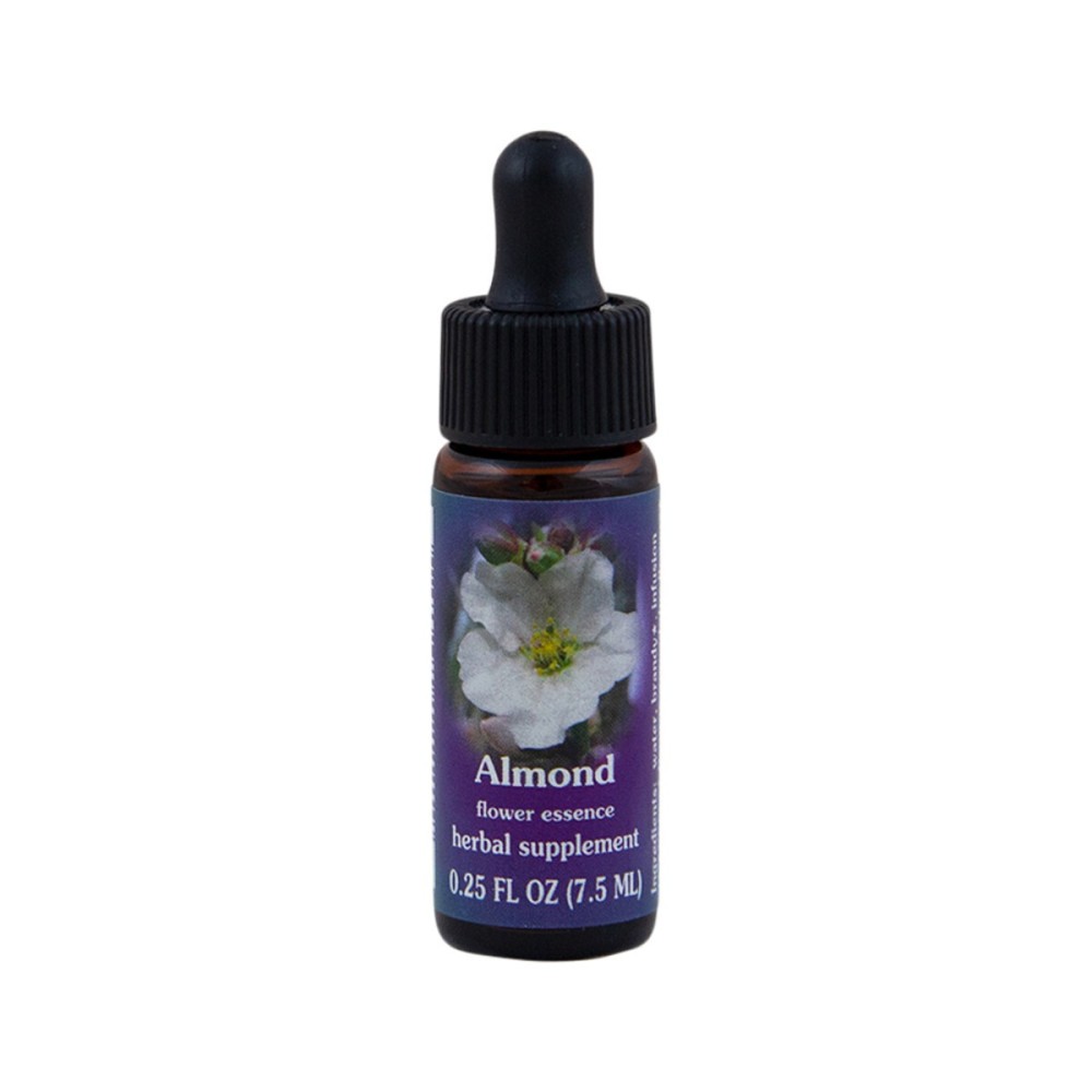 Almond (Prunus amygdalus) 7.4ml