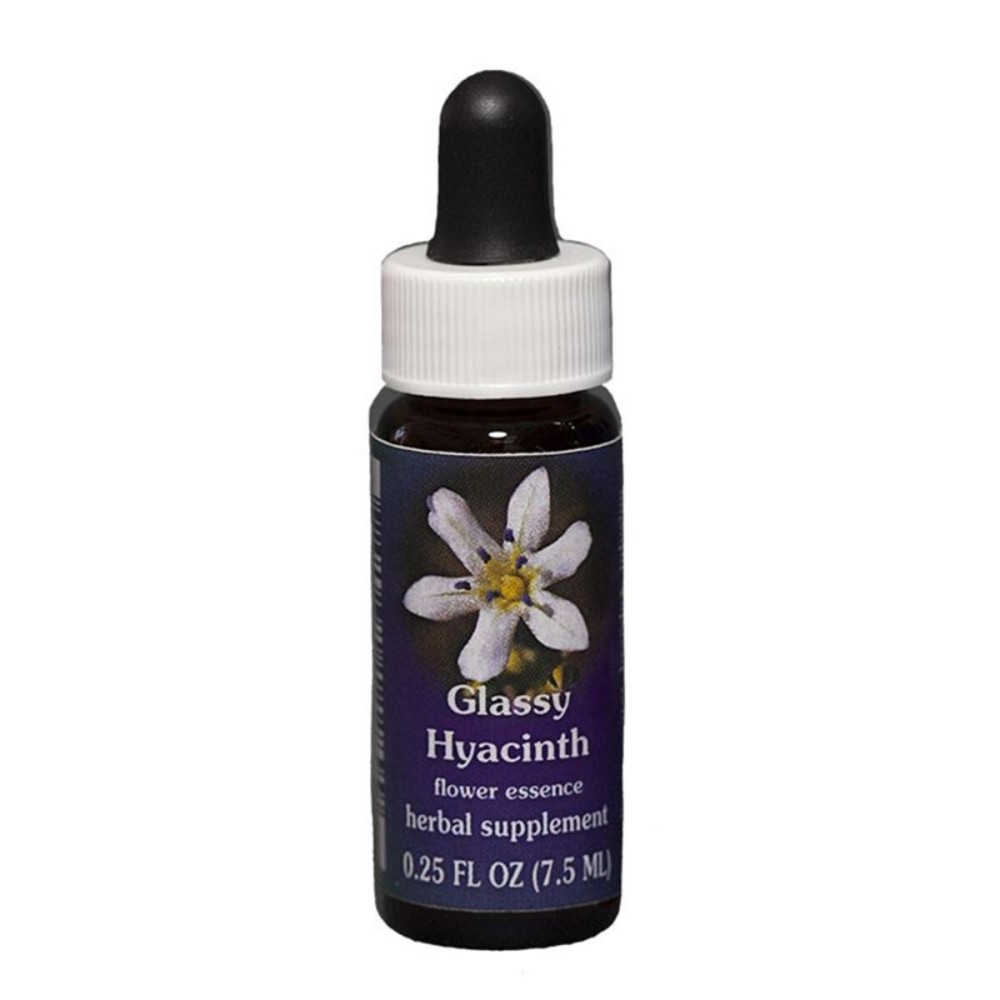 Jacinthe vitreuse (Triteleia lilacina) 7.4ml