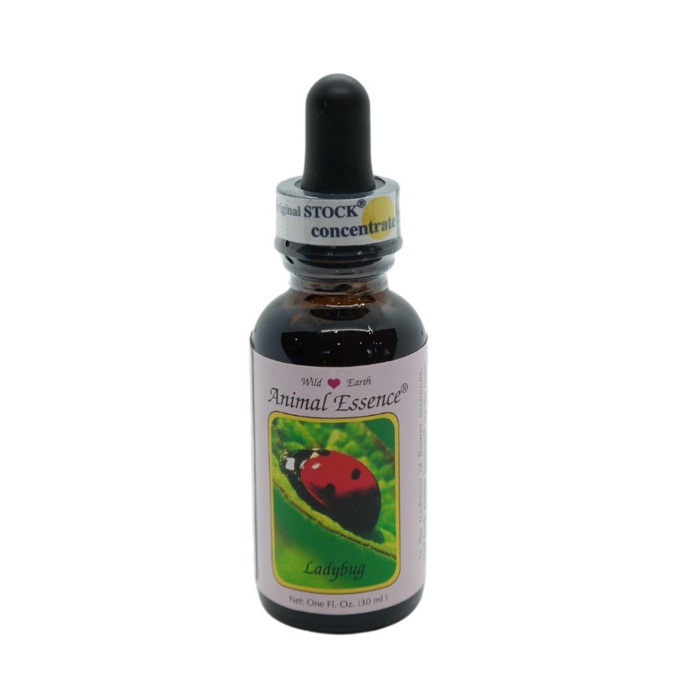 Marienkäfer (Marienkäfer) 30 ml