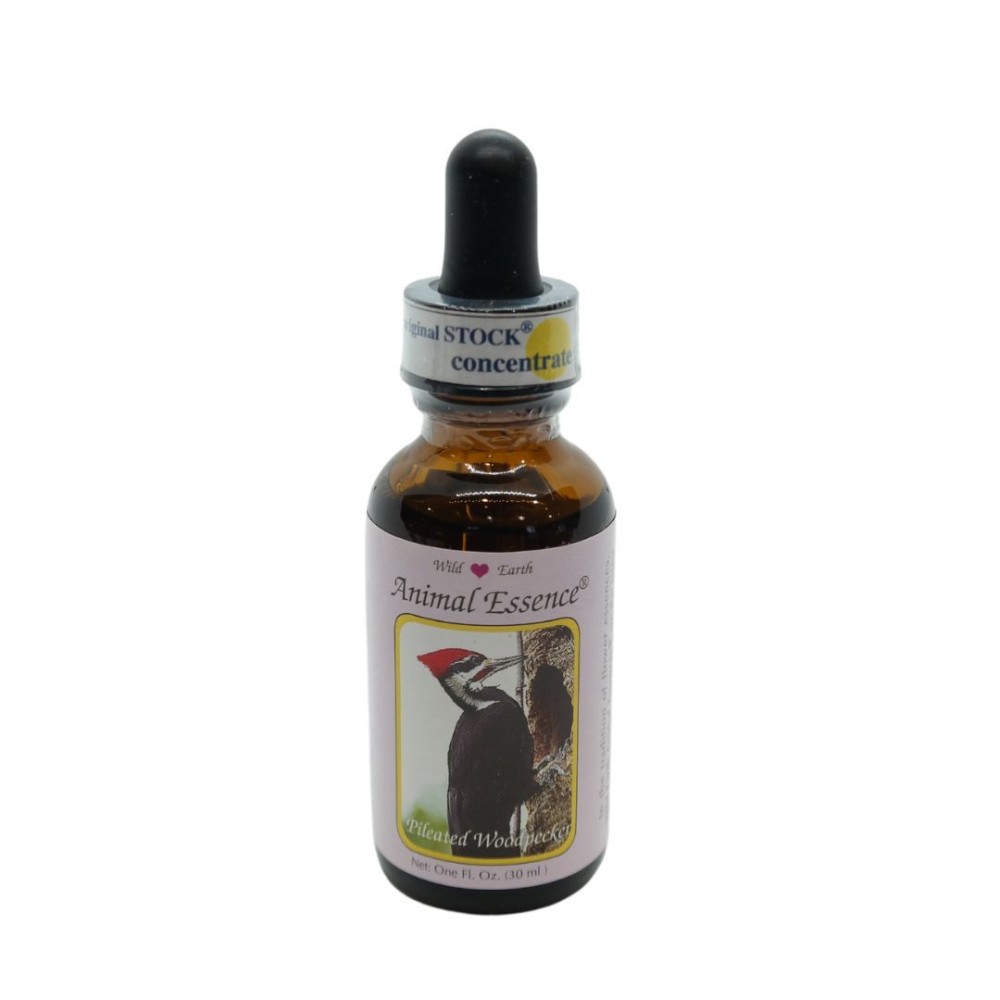 Pilatspecht 30 ml