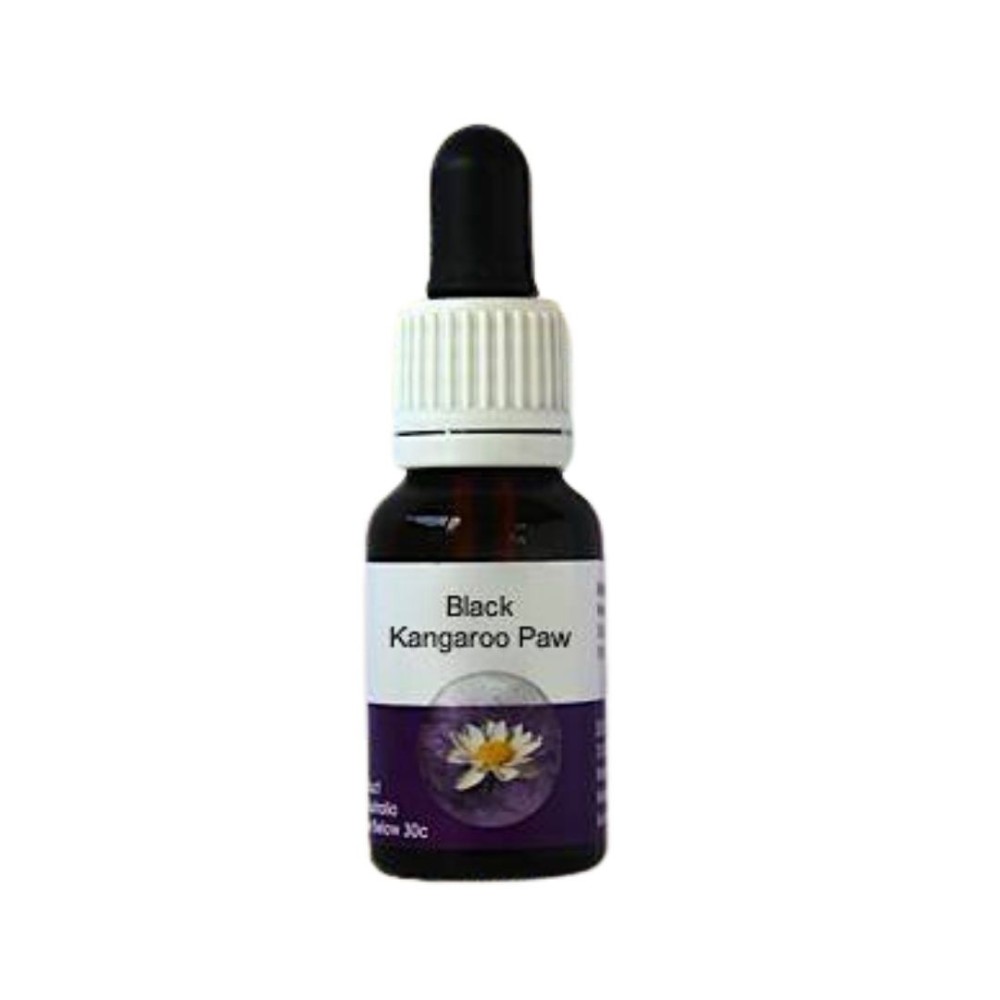 Schwarze Kängurupfote (Macropidea fuliginosa) 15ml