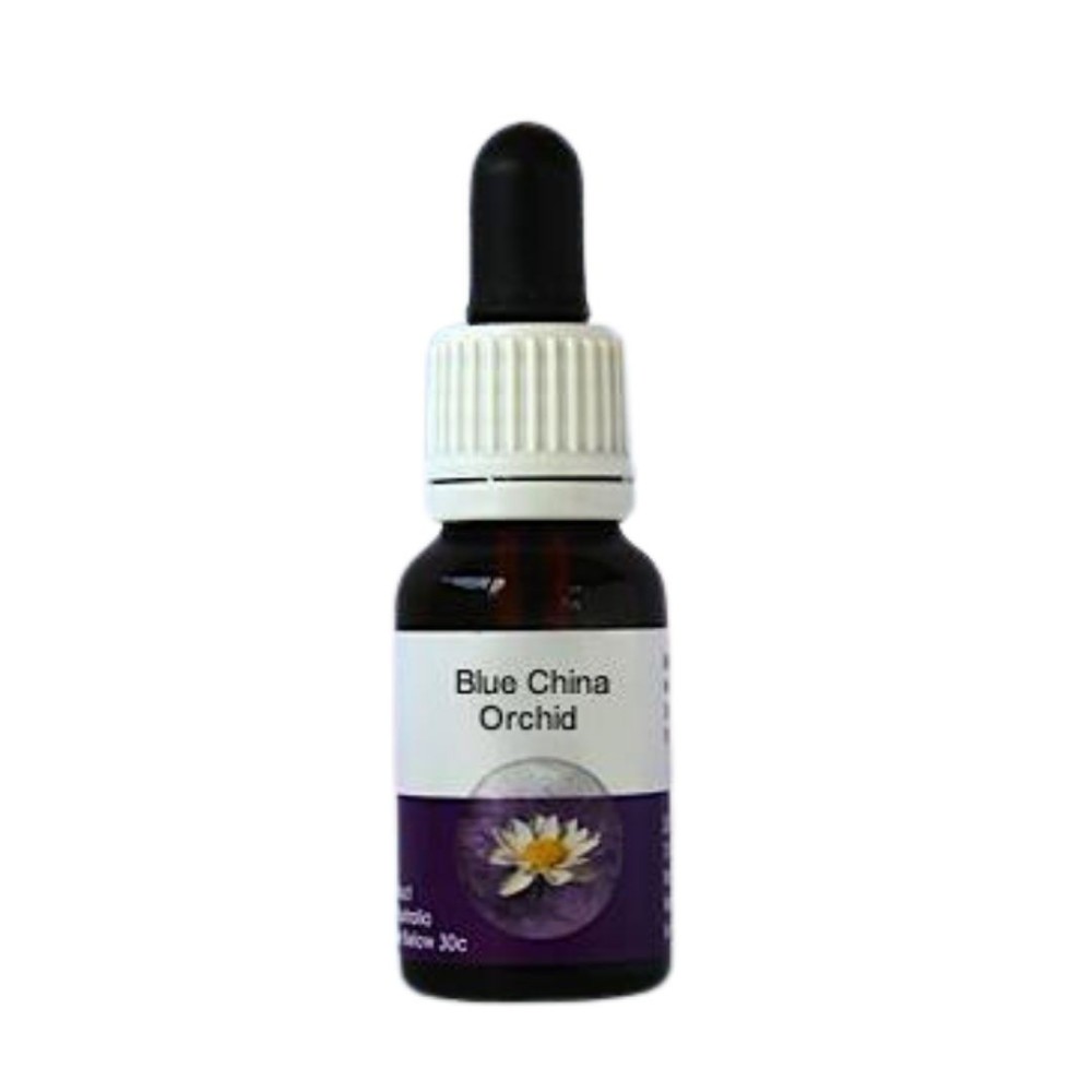 Blaue China-Orchidee (Cyanicula gemmata) 15ml