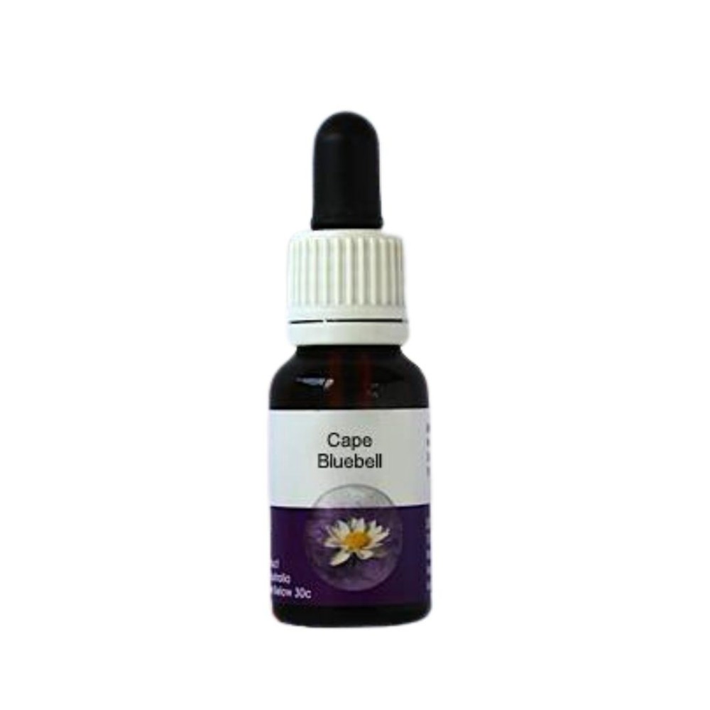 Campanilla del Cabo (Wahlenbergia capensis) 15ml