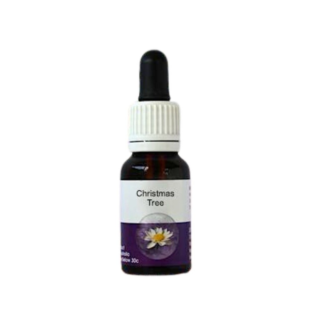 Árbol de Navidad (Nutsia floribunda) 15ml