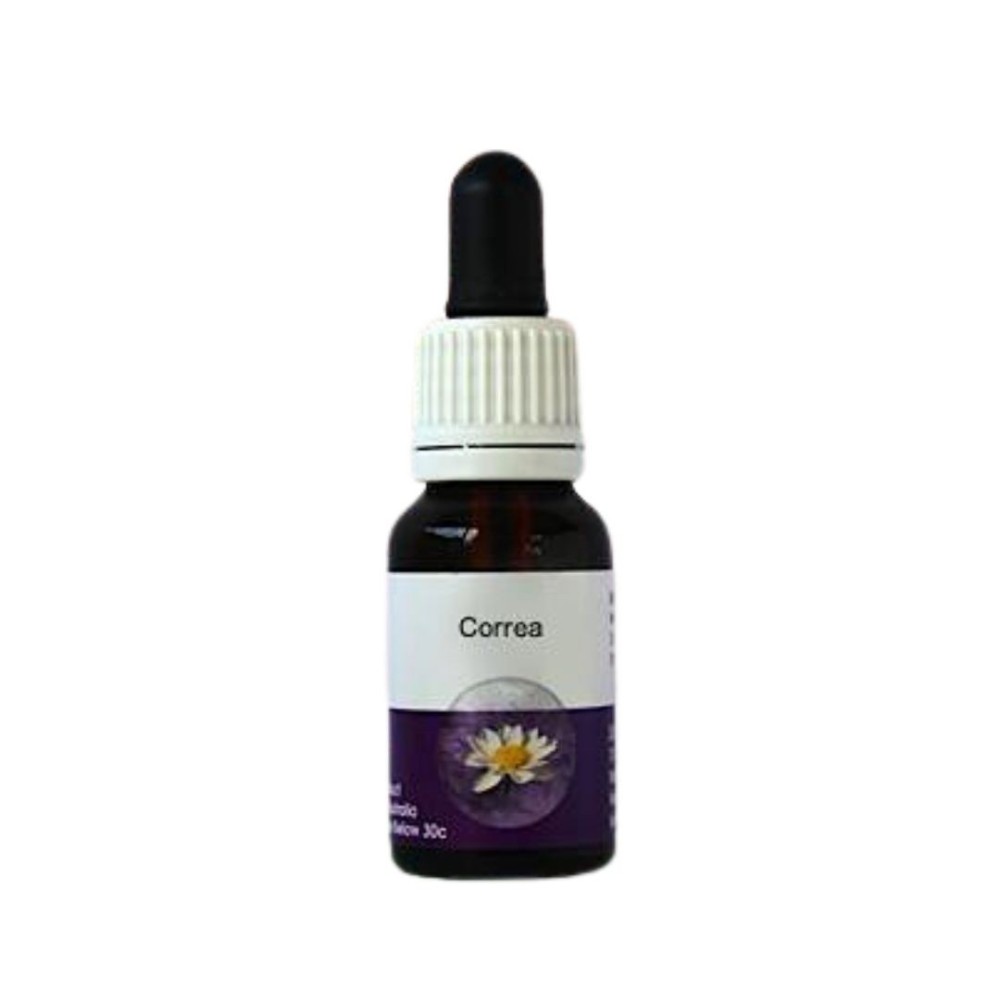 Correa (Correa Pulchella) 15ml