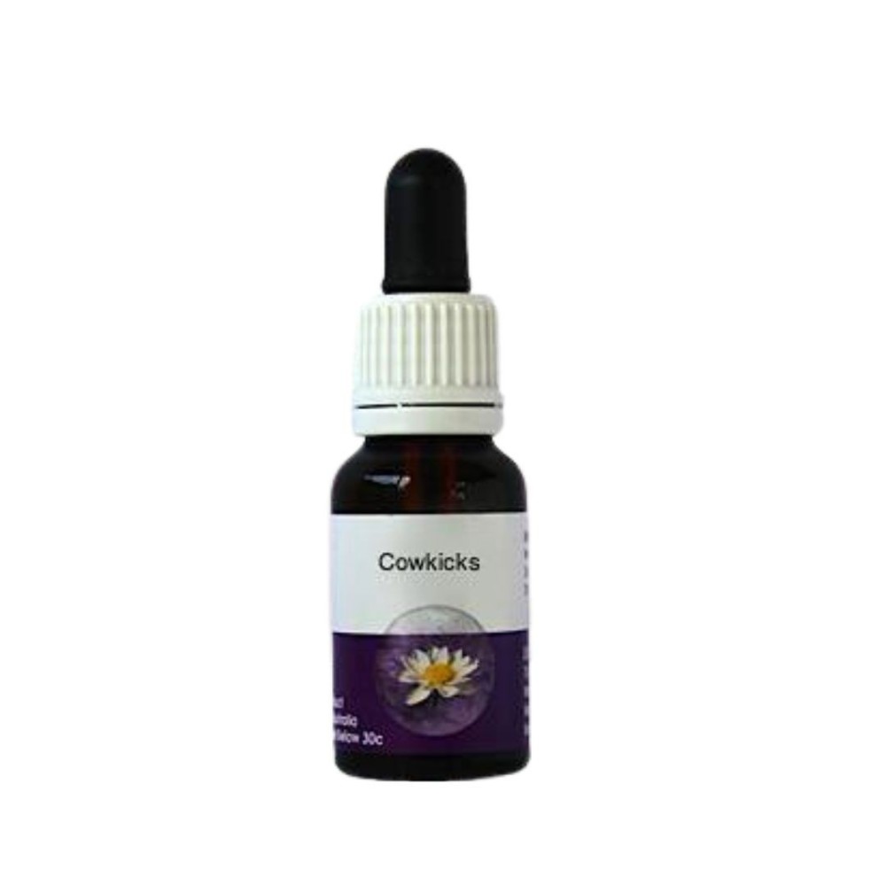 Cowkicks (Stylidium schoenoides) 15ml