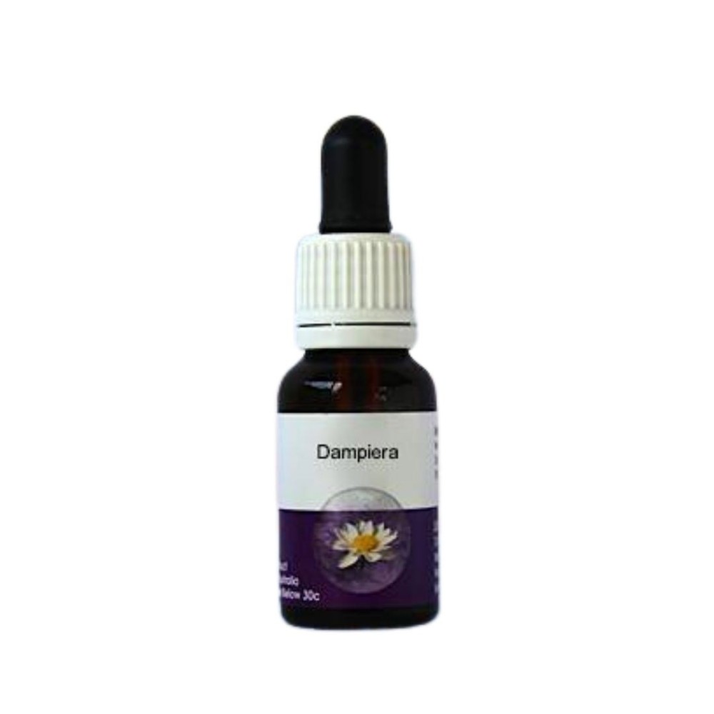 Dampiera (Dampiera linearis) 15 ml