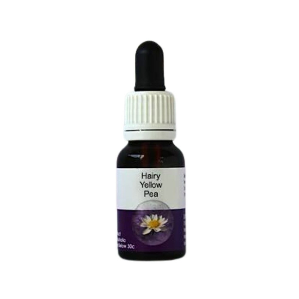 Hairy Yellow Pea (Gompholobim tormentosa) 15 ml