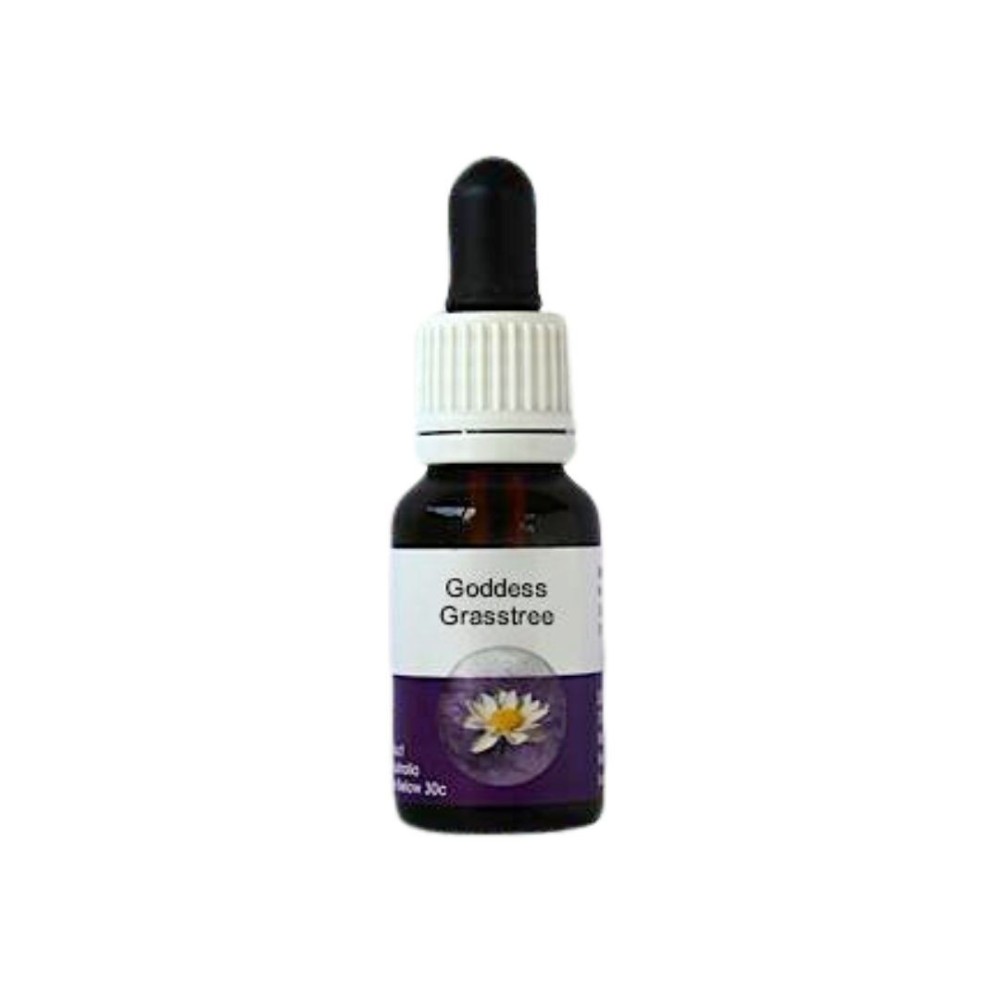 Diosa Grasstree (Kingia argentia) 15ml