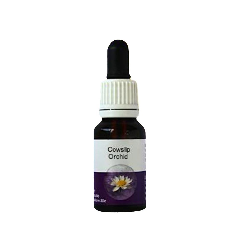 Cowslip Orchid (Caladenia flavia) 15ml