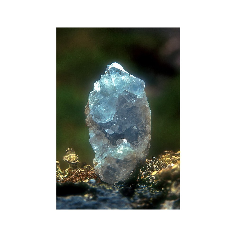 Essenza Singola dell'Alaska - Celestite 7,4 ml