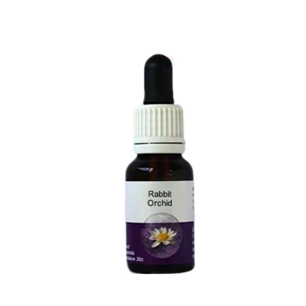 Rabbit Orchid (Caladenia menziesii) 15ml