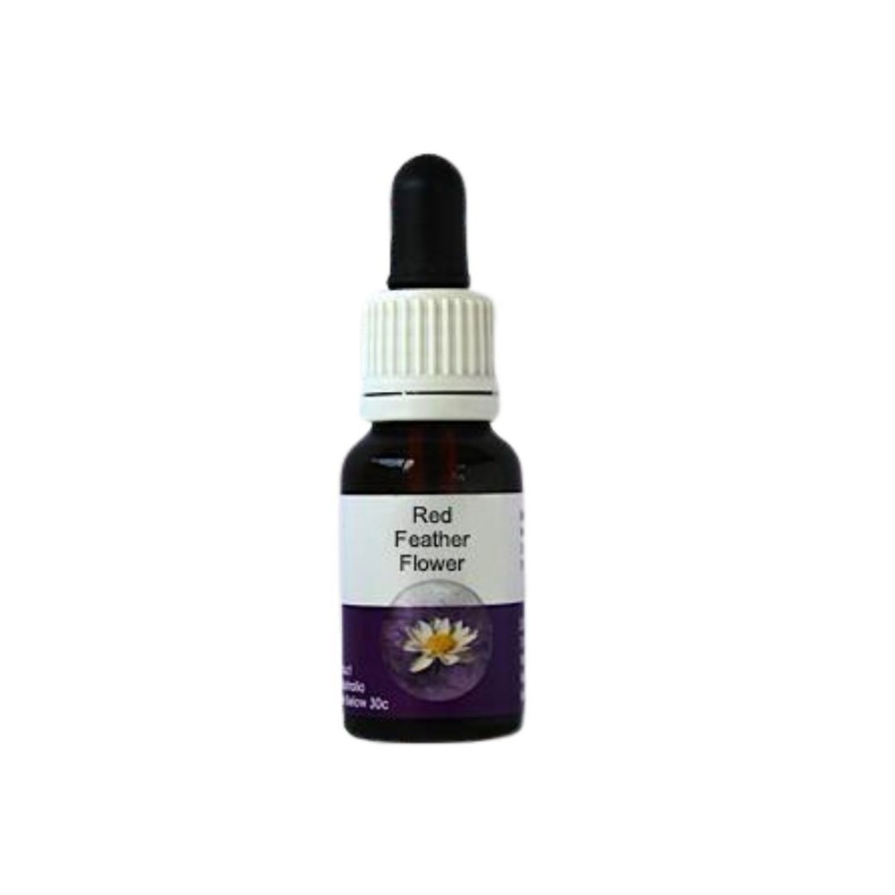 Fleur de Plume Rouge (Verticordia mitcheliana) 15 ml