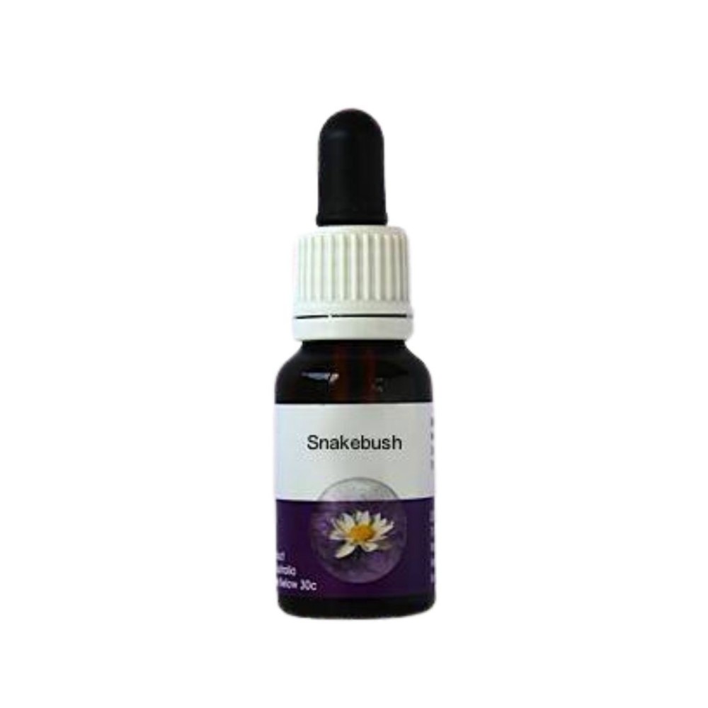 Arbusto de serpiente (Hemiandra pungens) 15ml