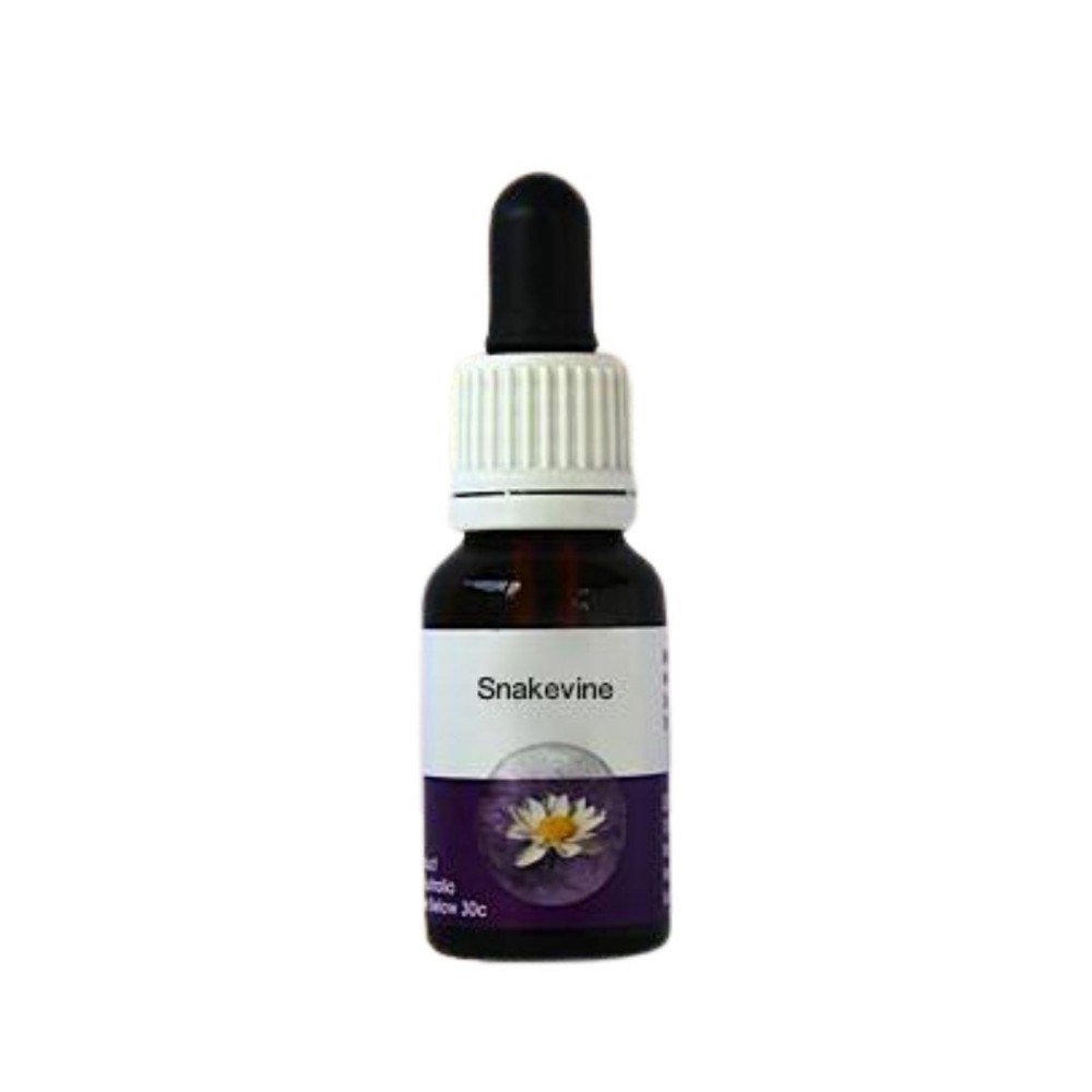 Schlangenranke (Hibbertia scandens) 15ml