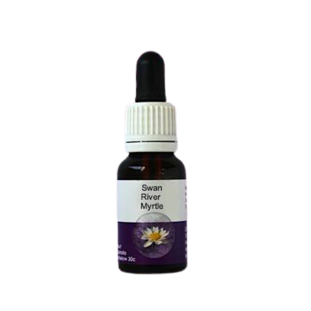 Myrte de Swan River (Hypocalymma robustum) 15ml