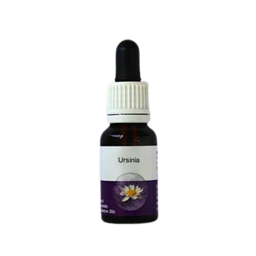 Ursinia (Ursinia anthemoides) 15 ml