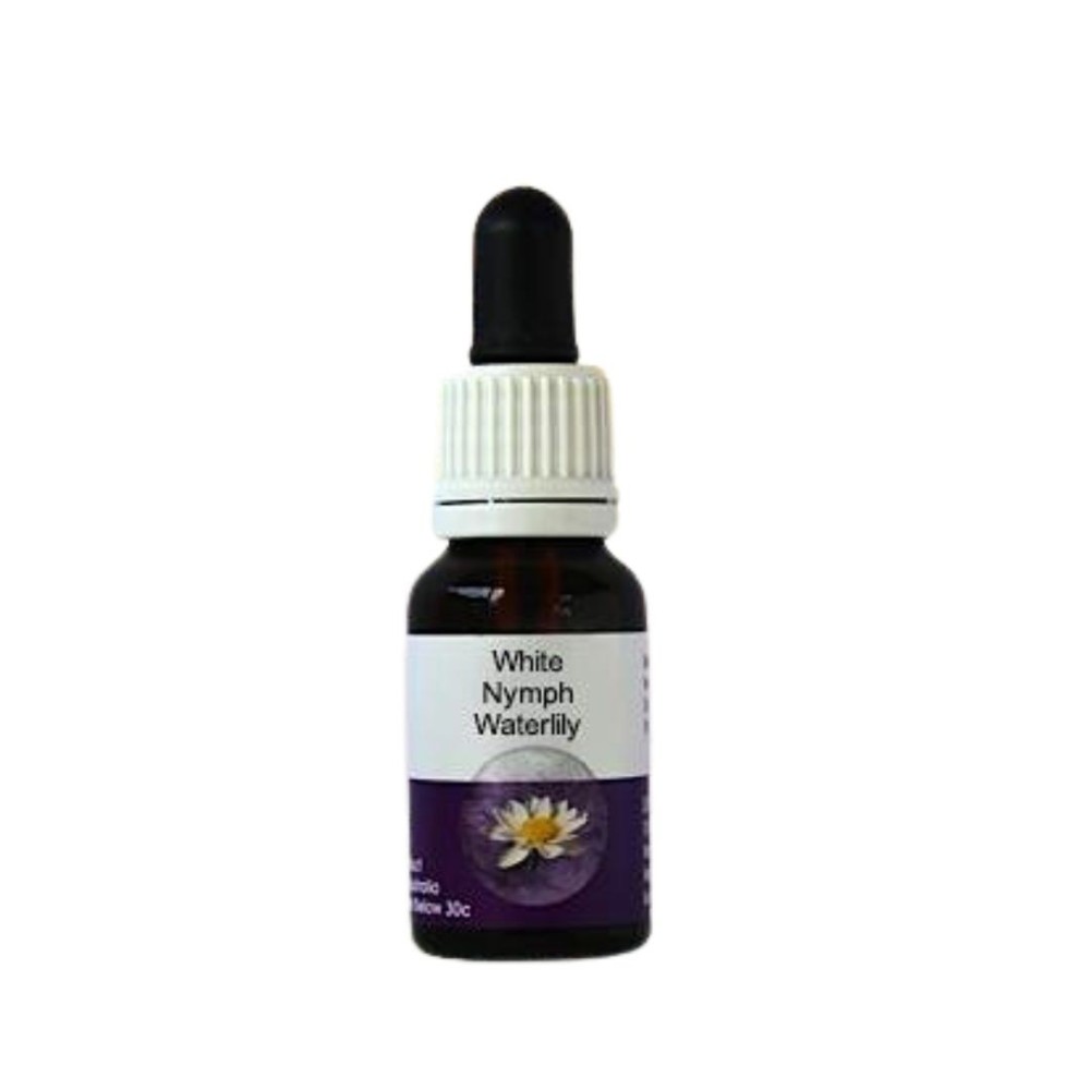 Weiße Seerose (Nymphaea violeacea) 15ml)