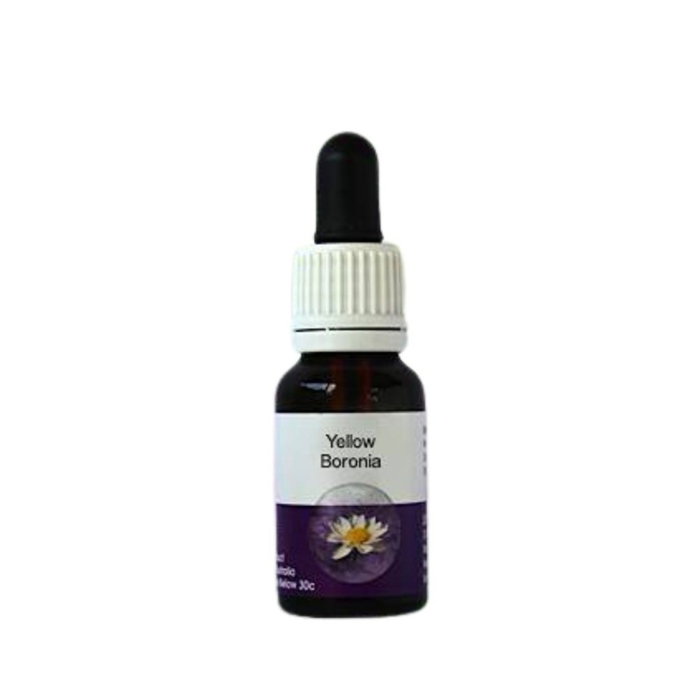 Gelbe Boronia (Megastigma lutea) 15ml