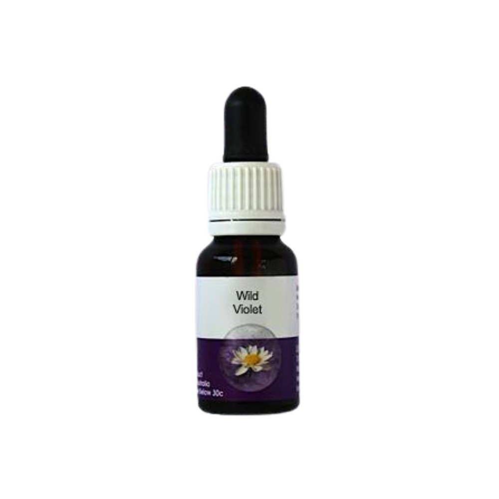 Violette Sauvage (Hybathus calycinus) 15ml