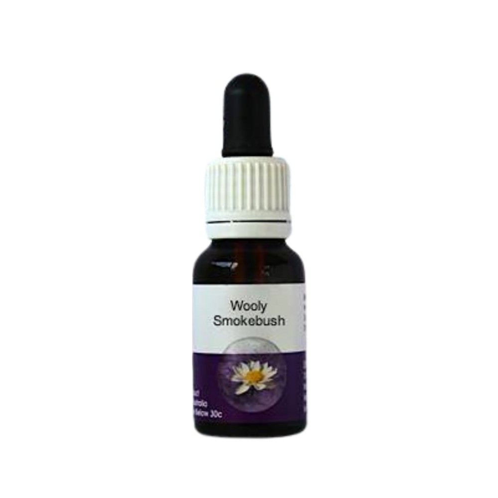 Wolliger Rauchbusch (Conospermum incurvum) 15ml