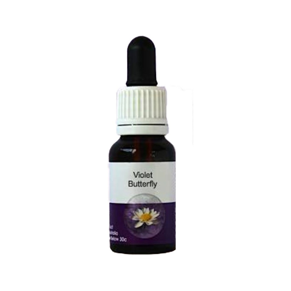 Papillon violet (Stylidium maitlandianum) 15ml