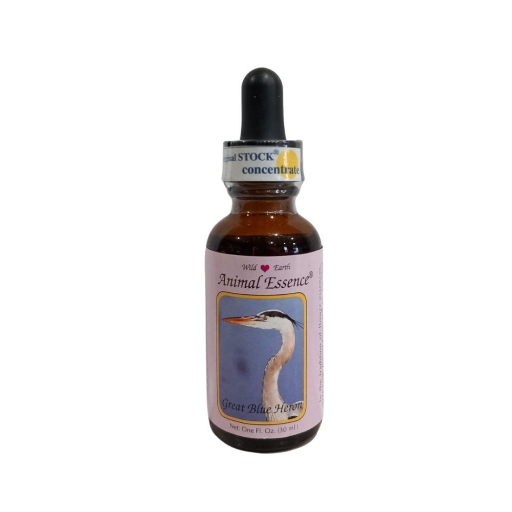 Great Blue Heron (Blaureiher) 30 ml