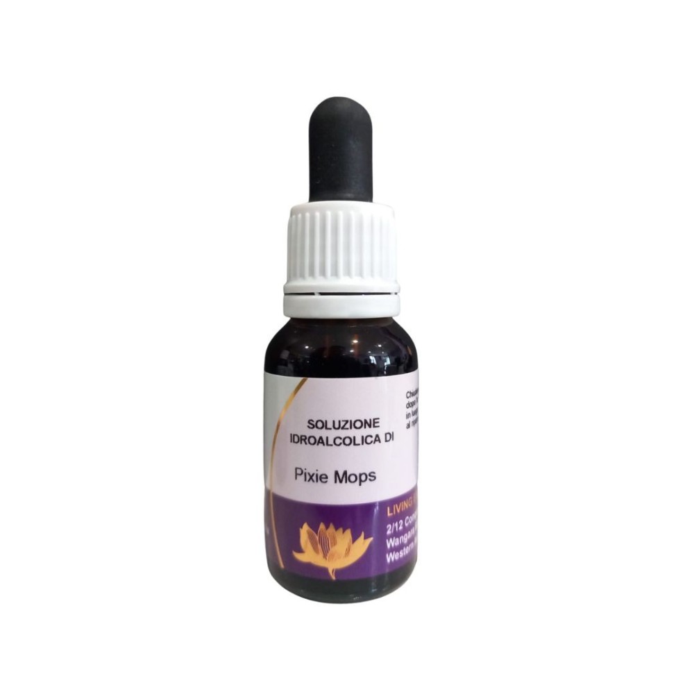 Fregonas Pixie (Petrophile linearis) 15ml