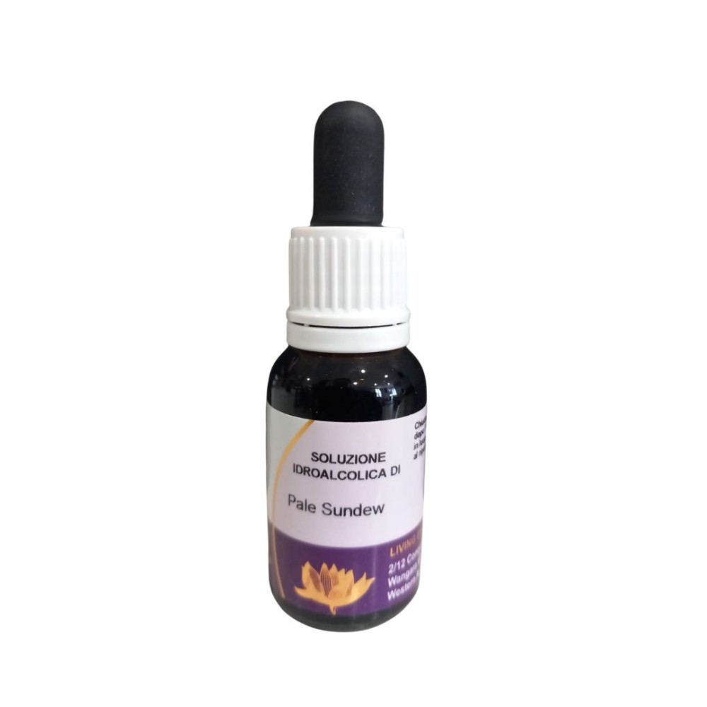 Dorsera pâle (Dorsera pallida) 15 ml