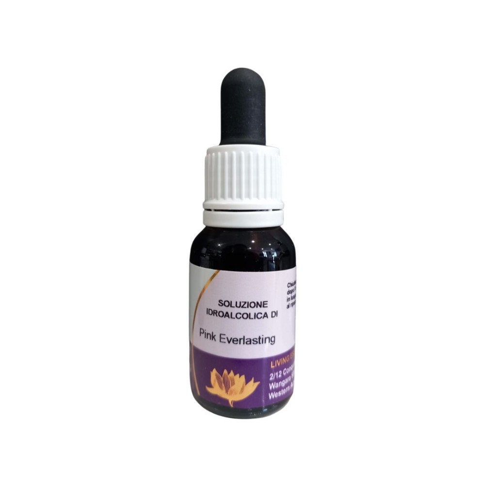 Pink Everlasting (Helipterum roseum) 15ml