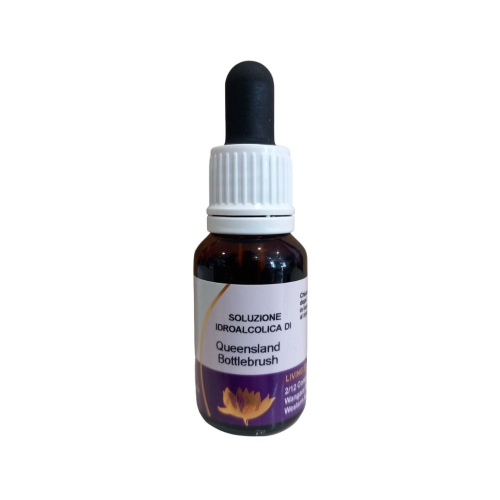 Goupillon du Queensland (Callistemom polondi) 15ml