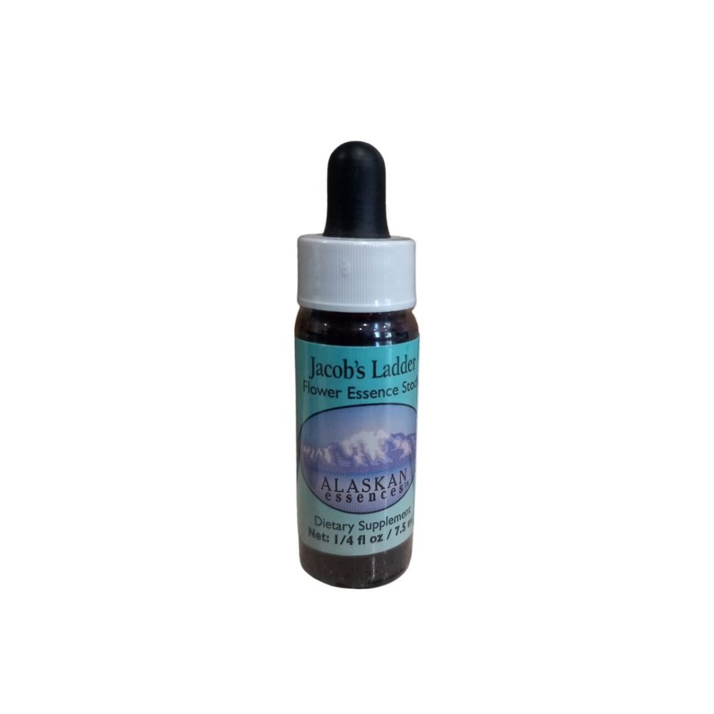 Jakobsleiter (Polemonium pulcherrimum) 7,4 ml