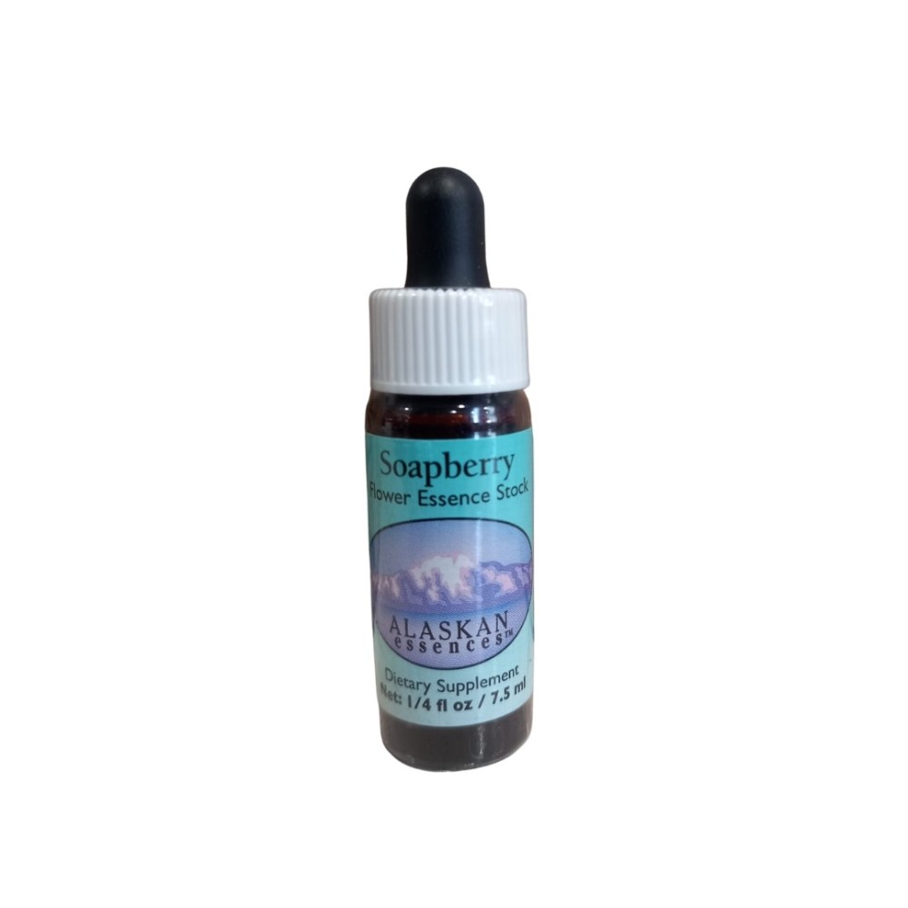 Soapberry (Sheperdia canadensis) 7,4 ml