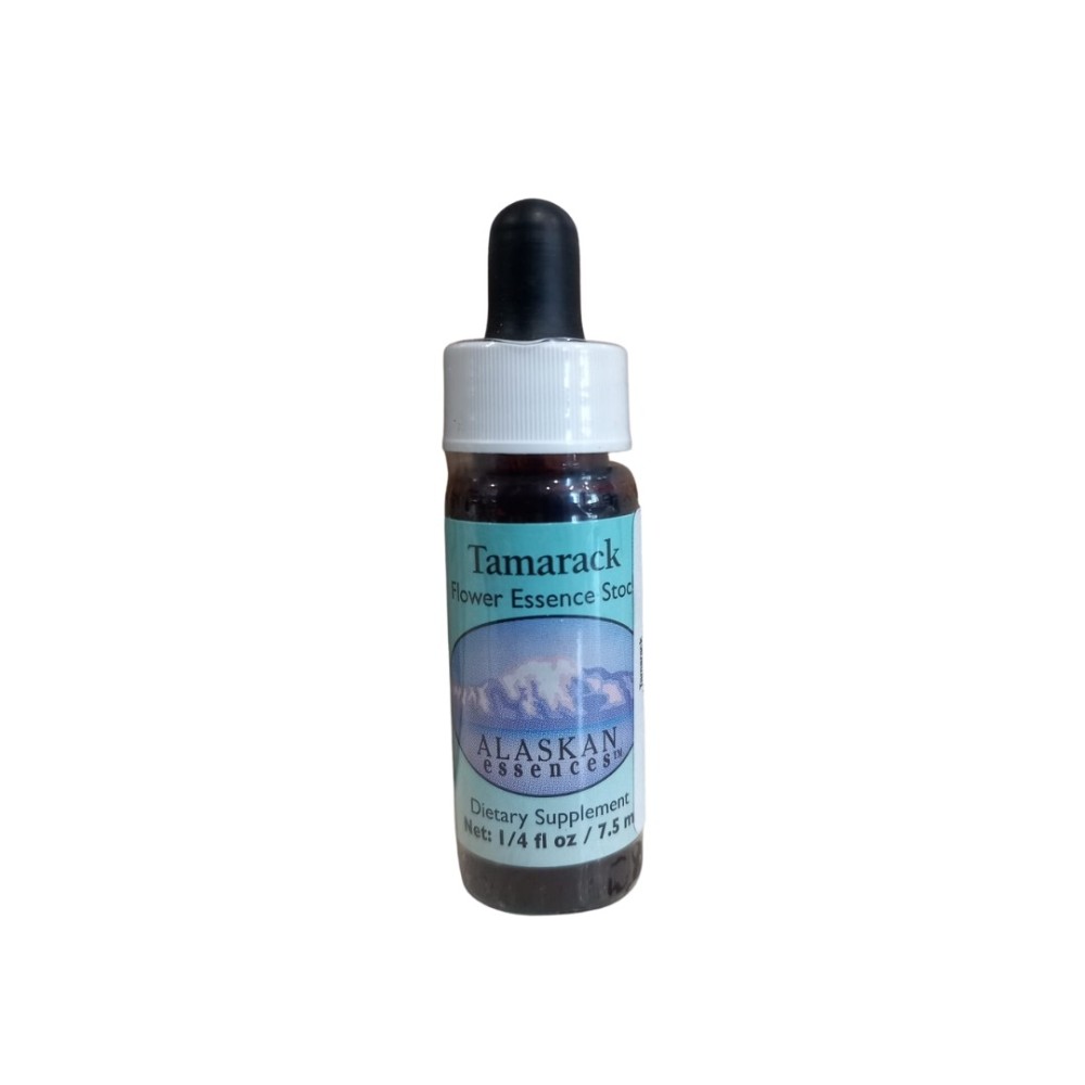 Tamarack (Larix laricina) 7.4ml