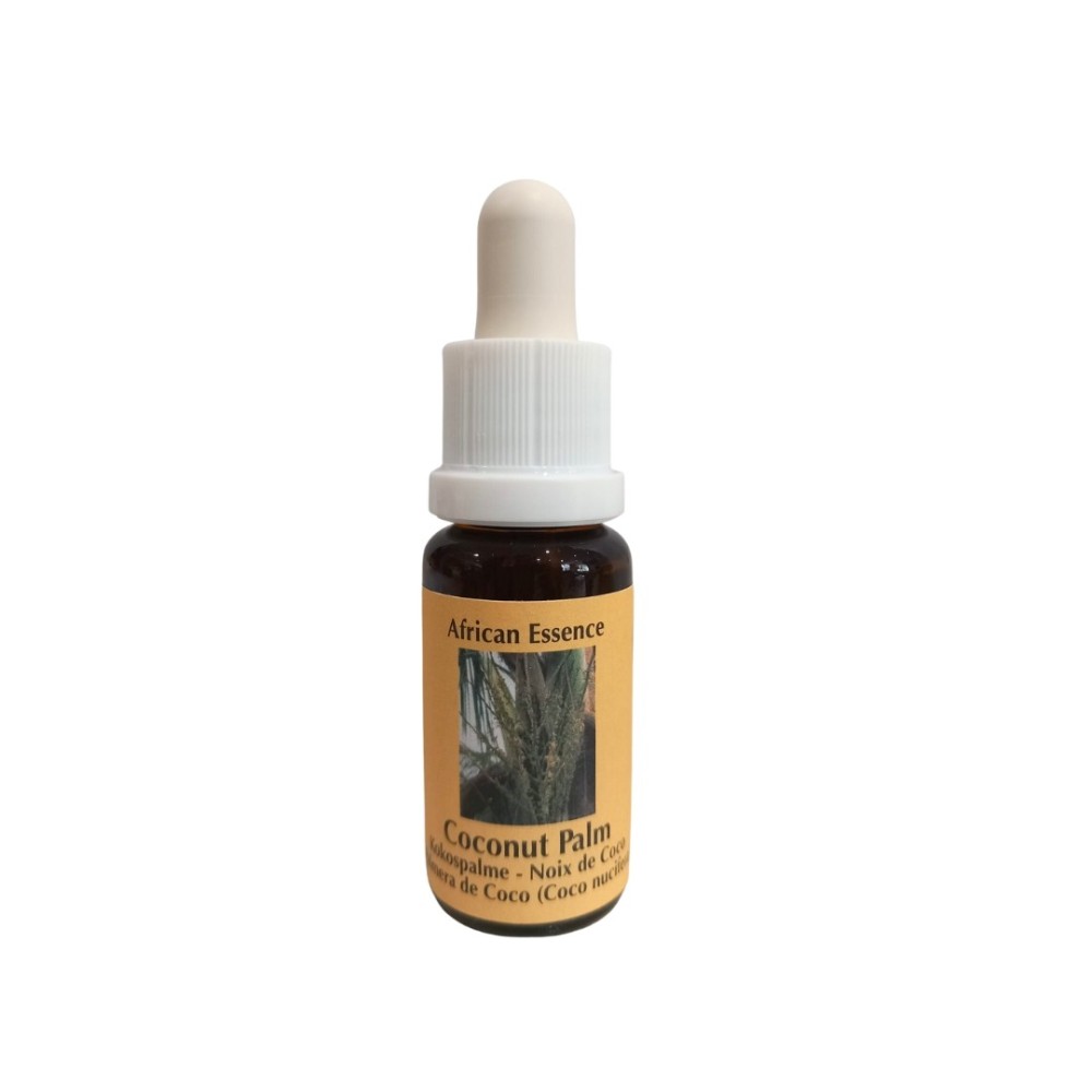 Coconut Palm 15 ml