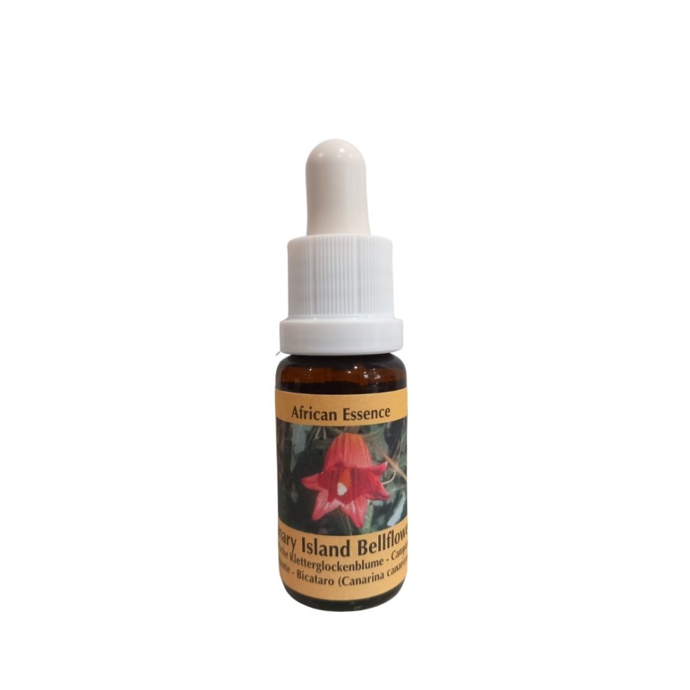 Campanule des Canaries 15ml