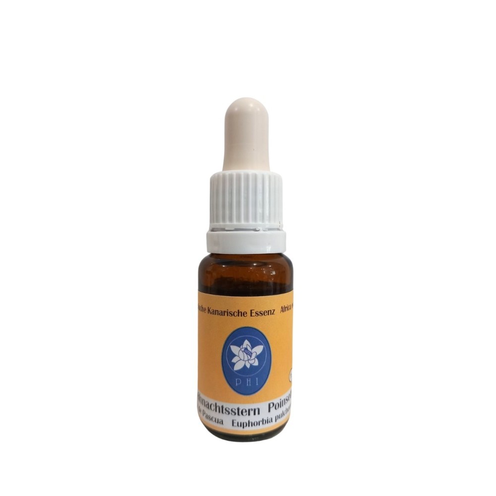 Flor de Pascua 15ml